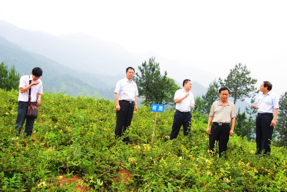 新闻延伸 突出特色发展农村经济 石门乡位于云阳县陆上