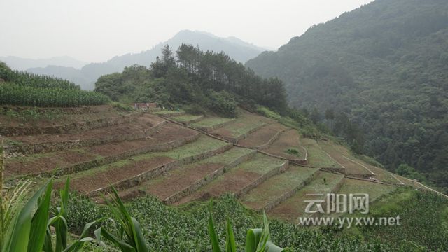 记者从县土地开发整理项目座谈会上获悉,本次蔈草镇双丰村,外郎乡大花