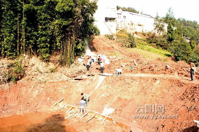 凤鸣镇 整治山坪塘260口 让庄稼不再"口渴—云阳网