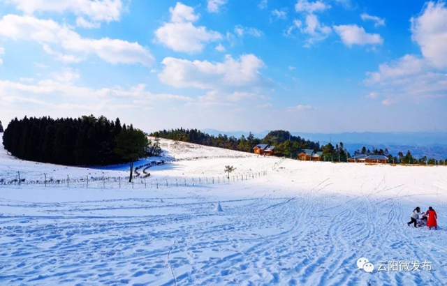 资讯中心 头条 双土映山红,上坝罗鼓宕,宝坪红葡萄,清水滑雪场……春