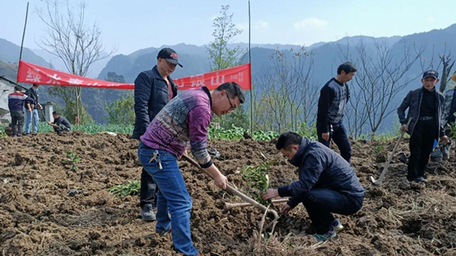 沙市镇开展“我为祖国植10棵树”活动